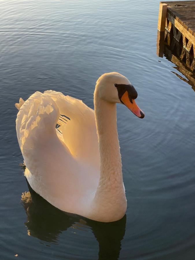 Sunscape breaks At Tattershall Lakes Hotell Eksteriør bilde